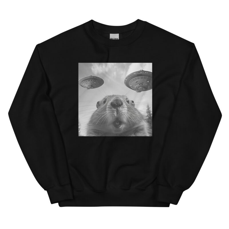 UFO Encounter Squirrel Unisex Sweatshirt - Image 2