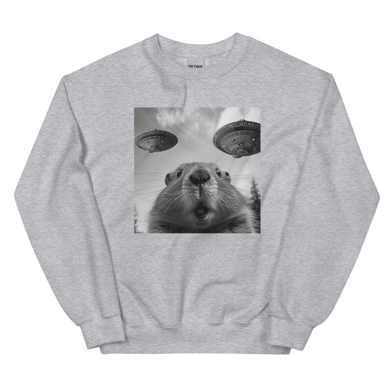 UFO Encounter Squirrel Unisex Sweatshirt