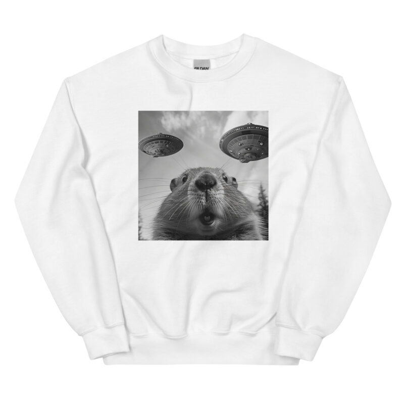 UFO Encounter Squirrel Unisex Sweatshirt - Image 4