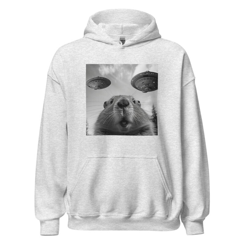 UFO Encounter Squirrel Unisex Hoodie - Image 5