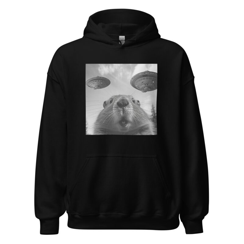 UFO Encounter Squirrel Unisex Hoodie - Image 2