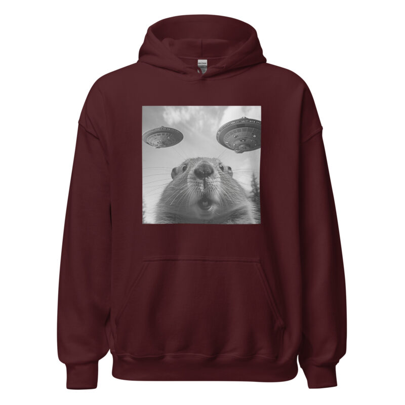 UFO Encounter Squirrel Unisex Hoodie - Image 4